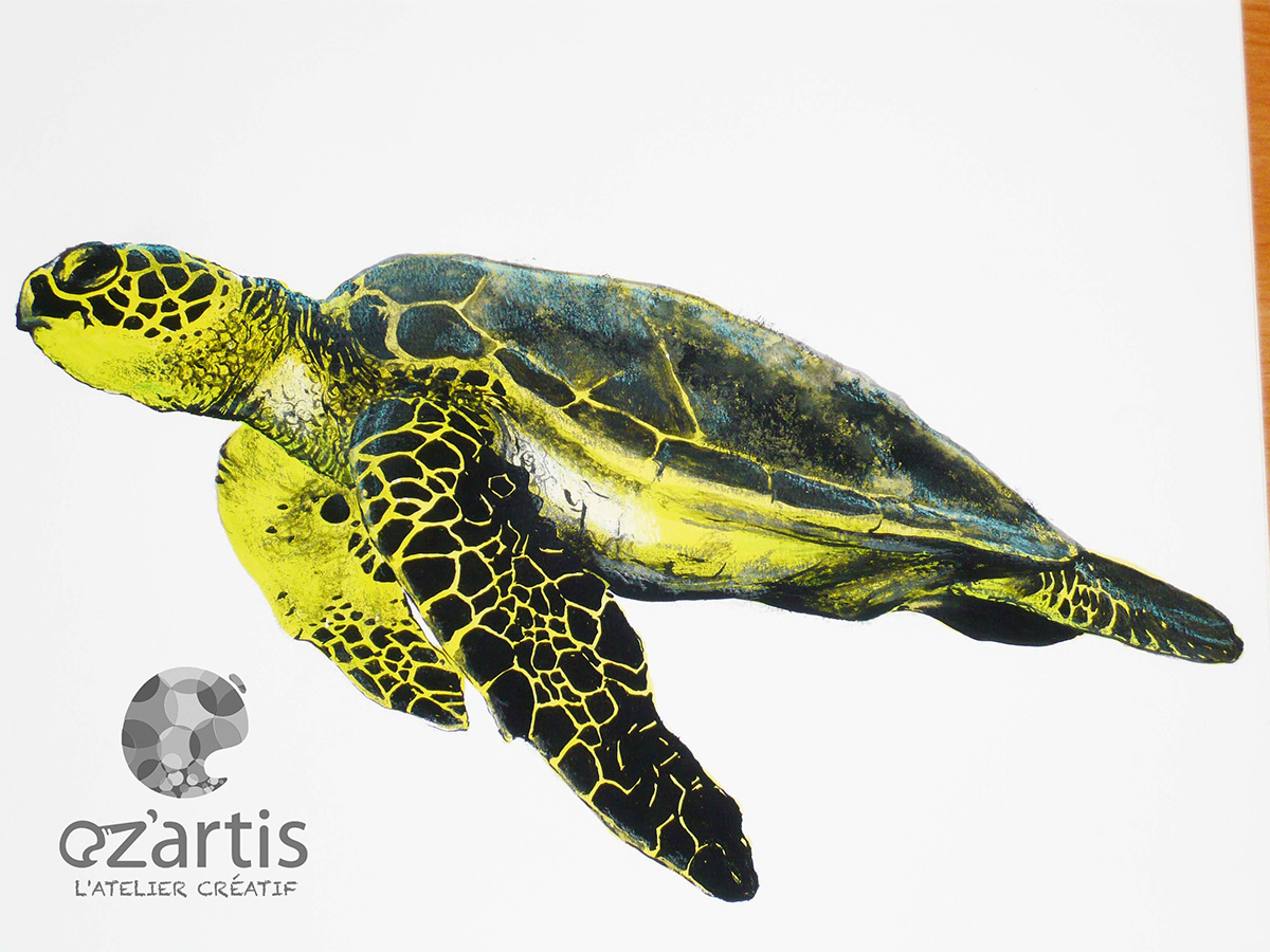 Dessin mathieu gouache tortue