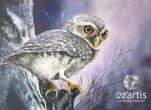 ozartis-la rochelle-acrylique-annie