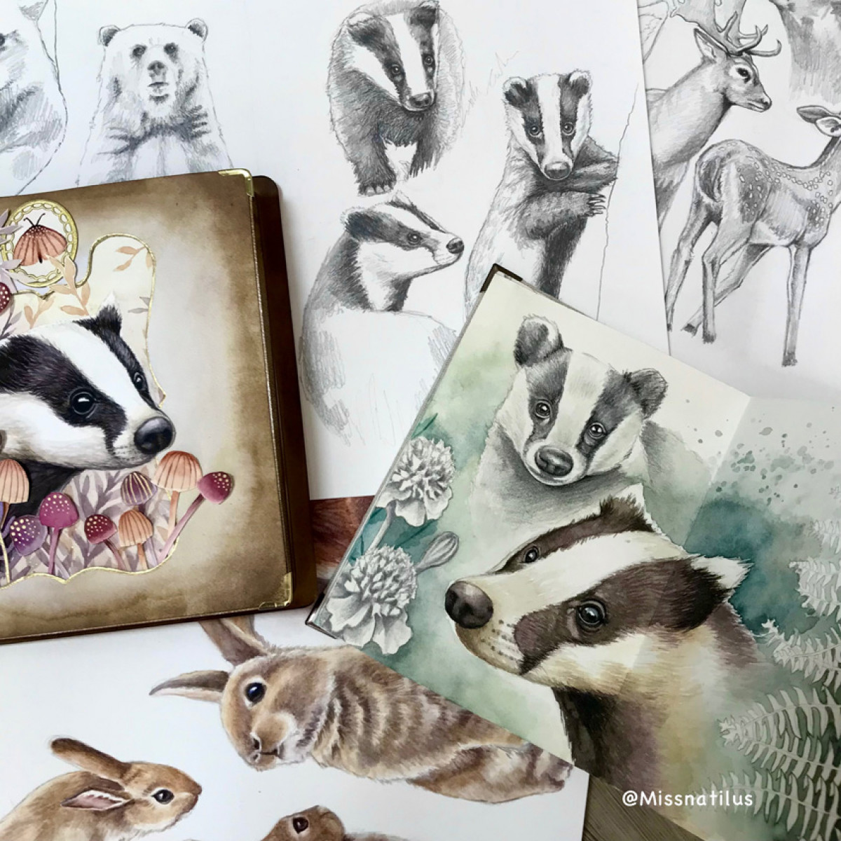 blaireau dessin aquarelle