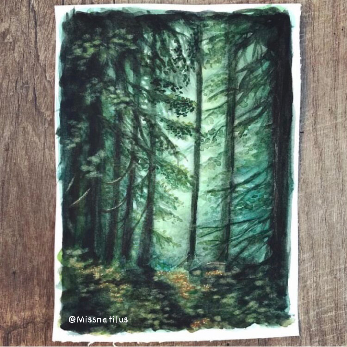 FORET AQUARELLE @missnatilus
