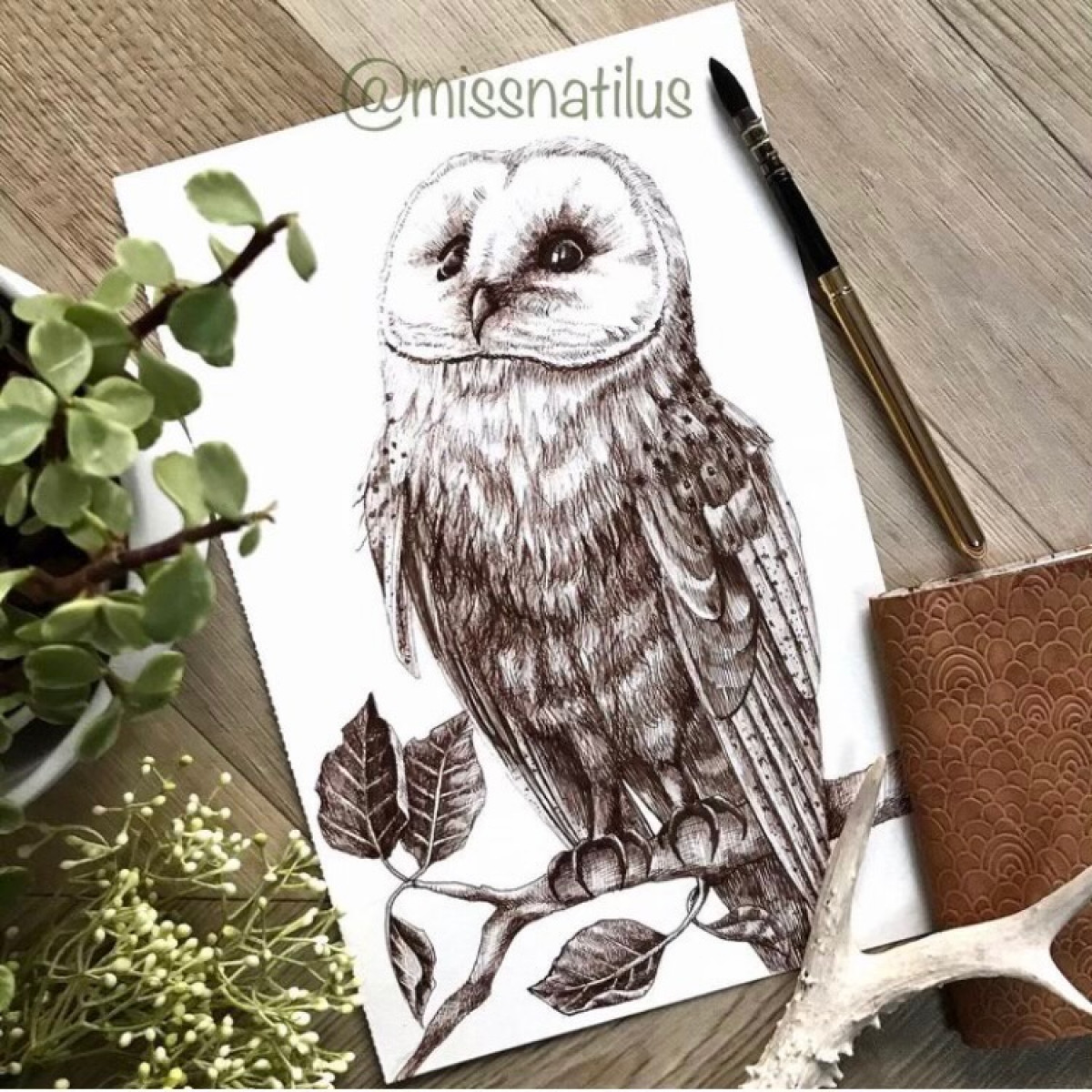 DESSIN CHOUETTE ENCRE @missnatilus